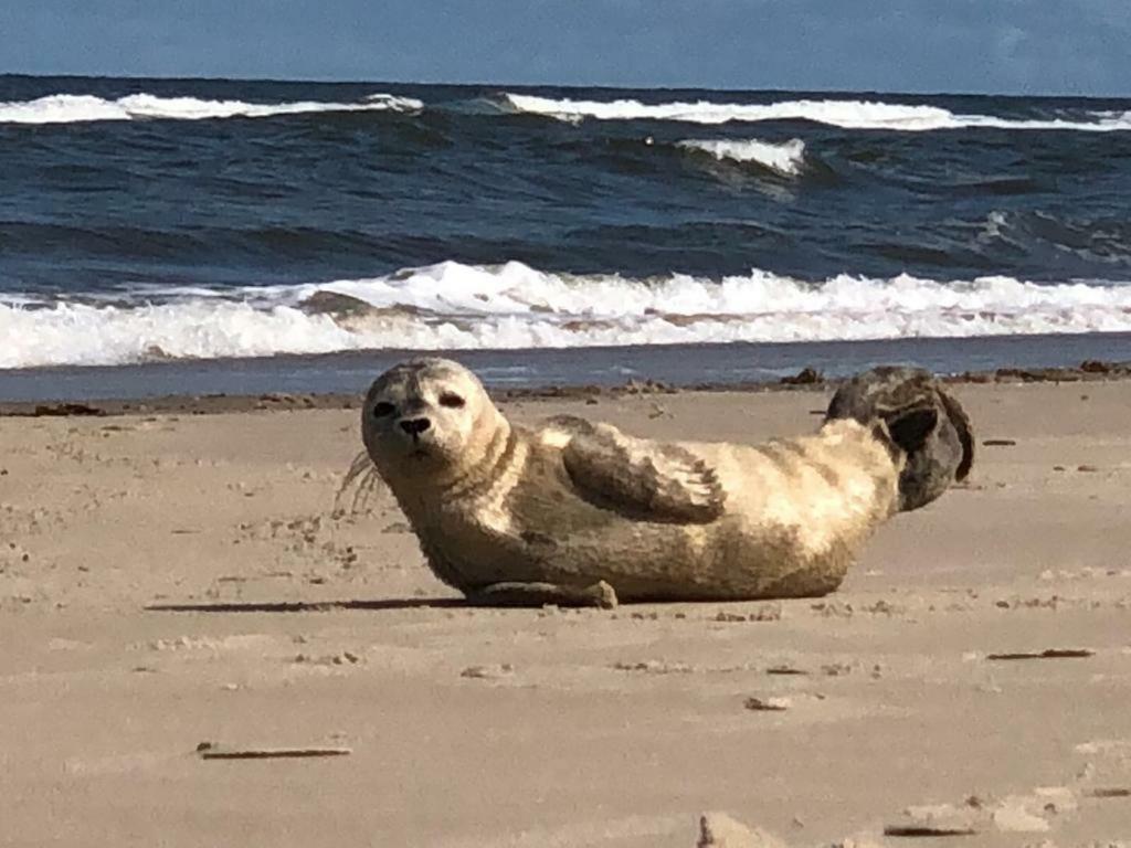 Meerzeit Norderney Eksteriør billede
